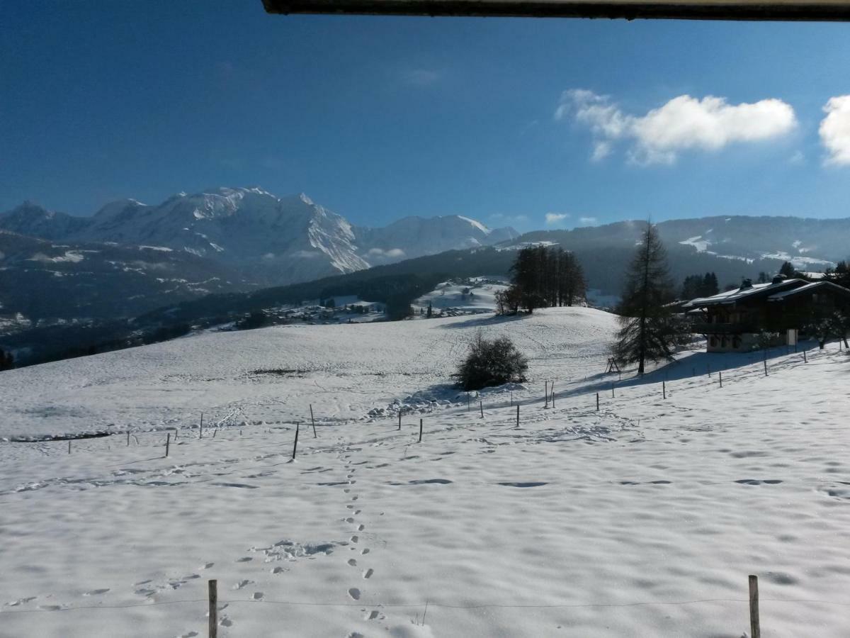 Rez De Chaussee Tres Calme Vue Mont-Blanc Combloux Kültér fotó