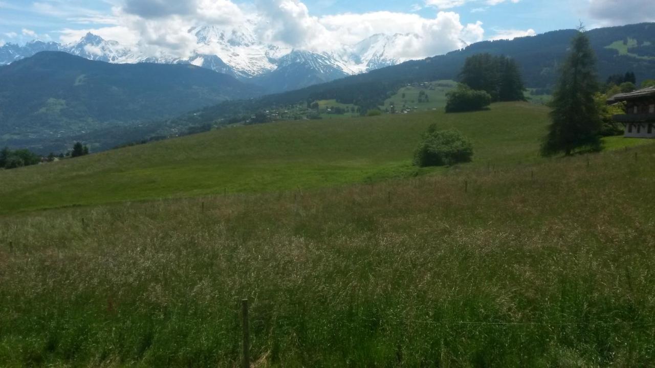 Rez De Chaussee Tres Calme Vue Mont-Blanc Combloux Szoba fotó